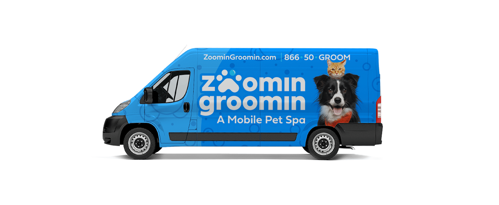 Zoomin Groomin After